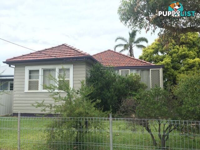 39 Scholey Street MAYFIELD NSW 2304