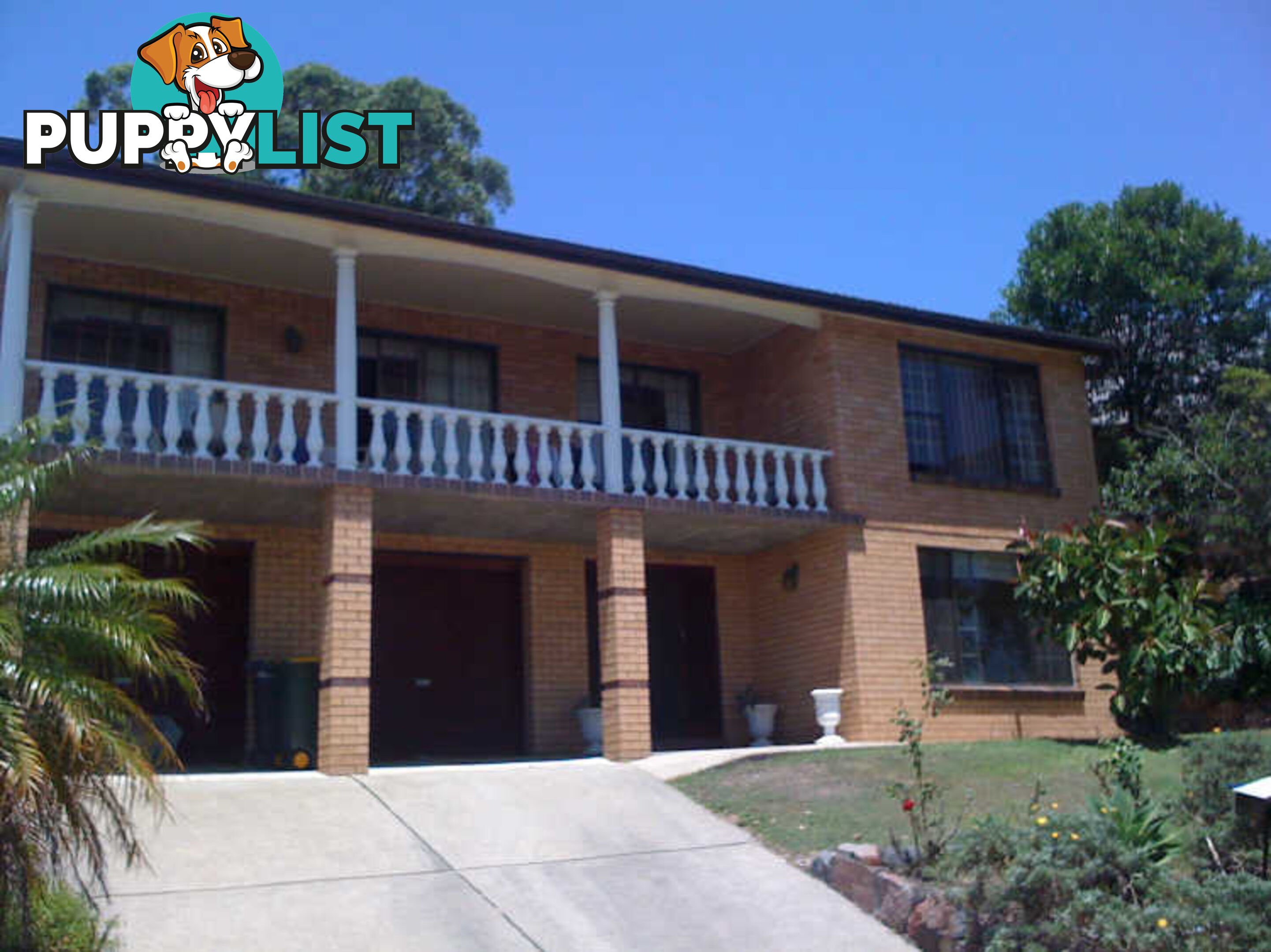 17 Princeton Avenue ADAMSTOWN HEIGHTS NSW 2289