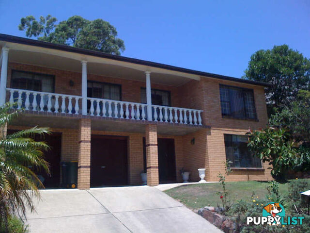 17 Princeton Avenue ADAMSTOWN HEIGHTS NSW 2289