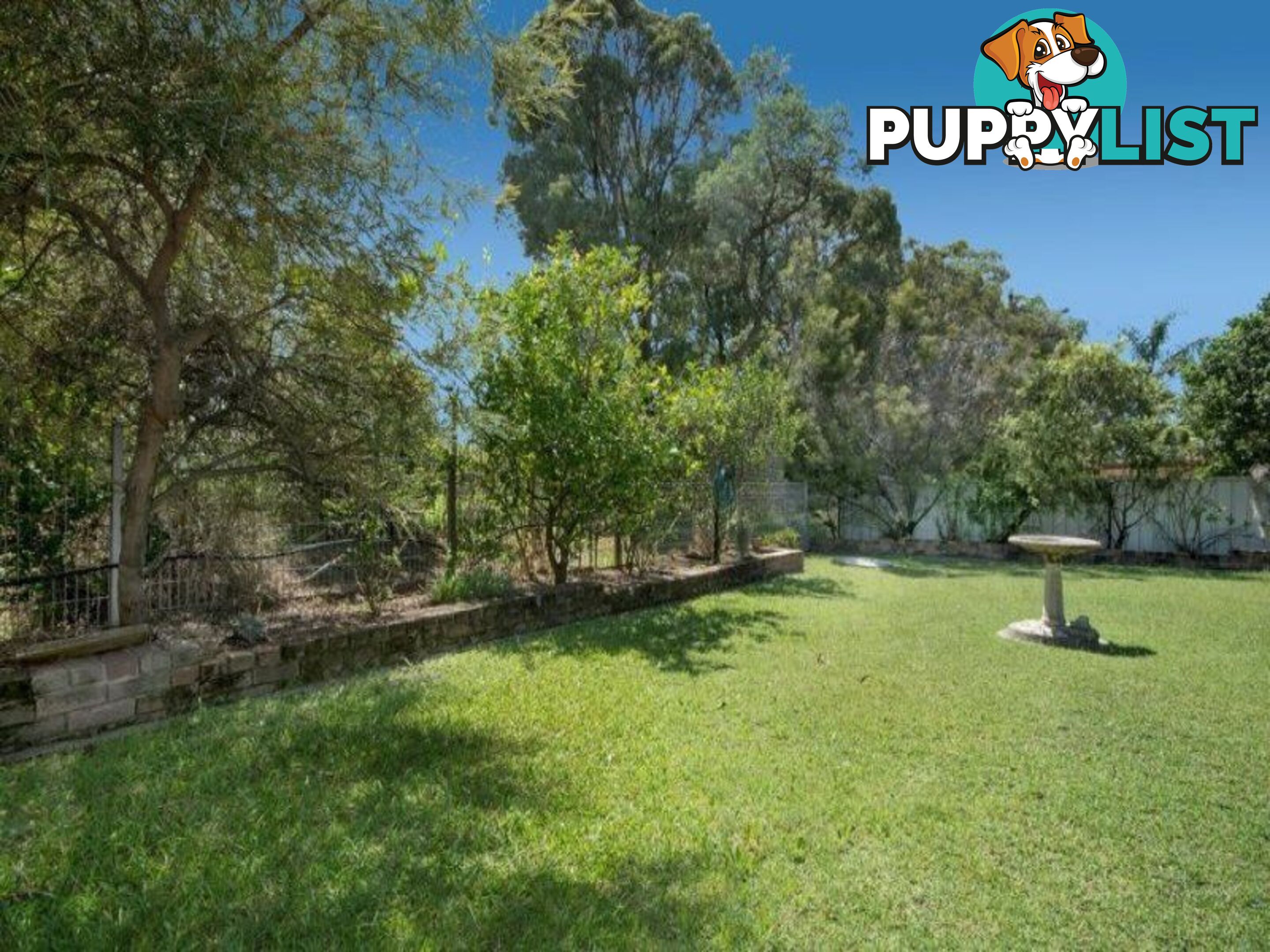 30 Casuarina Circuit WARABROOK NSW 2304