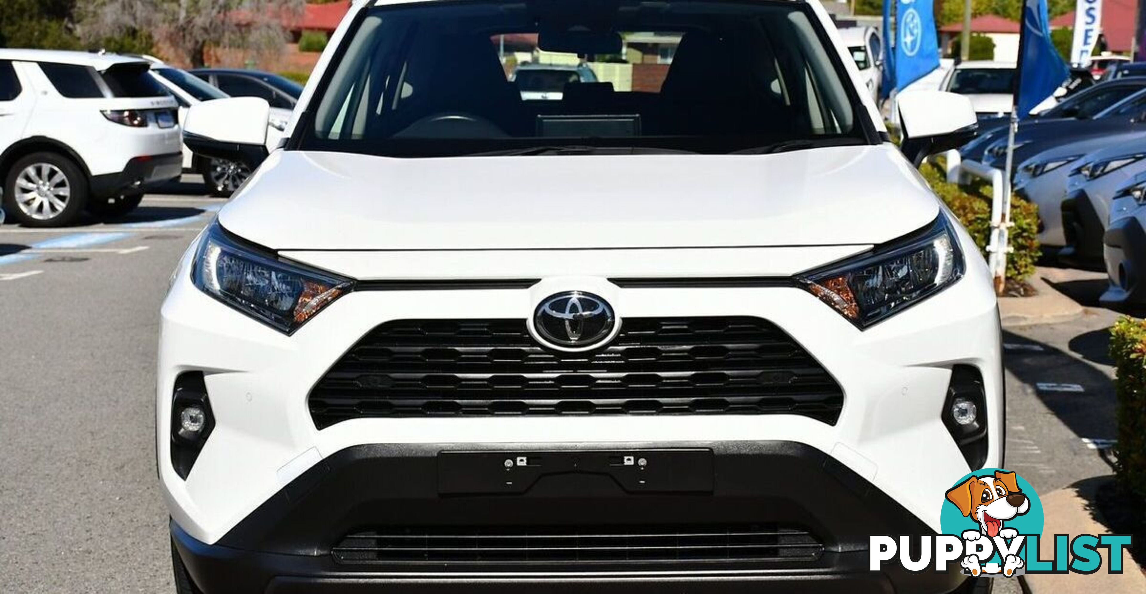 2023 TOYOTA RAV4 GX MXAA52R WAGON