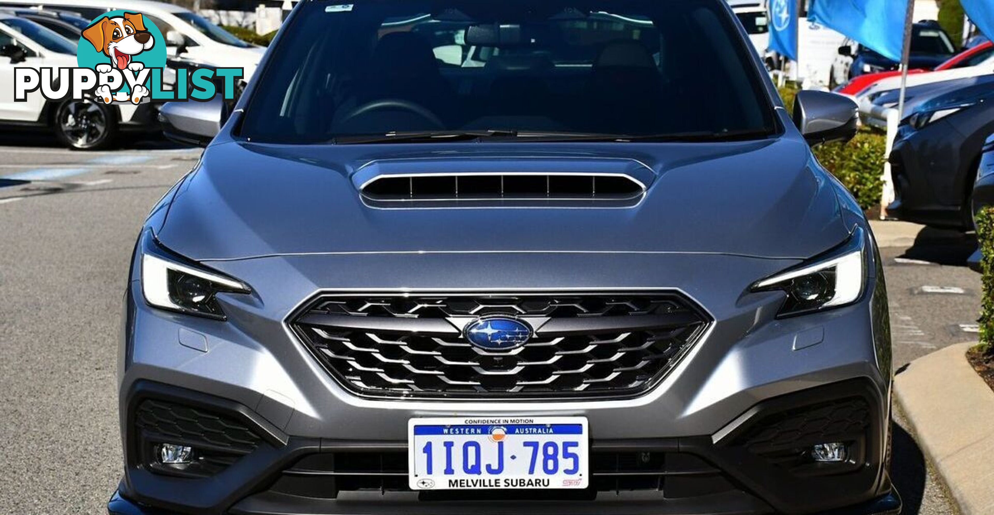 2024 SUBARU WRX TS VB SEDAN
