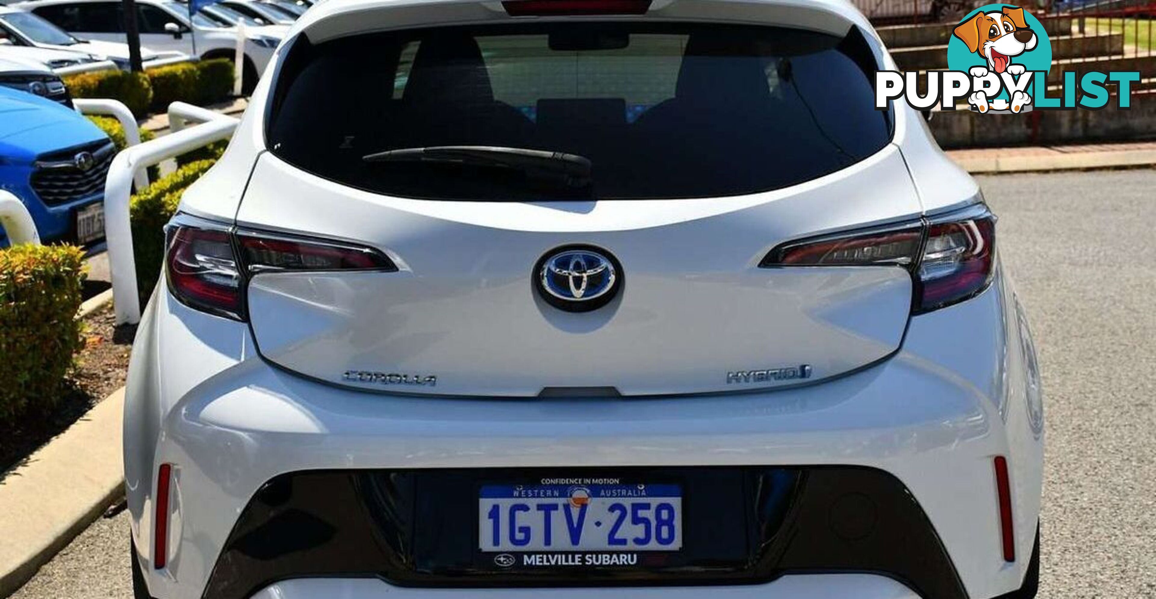 2019 TOYOTA COROLLA SX HYBRID ZWE211R HATCHBACK