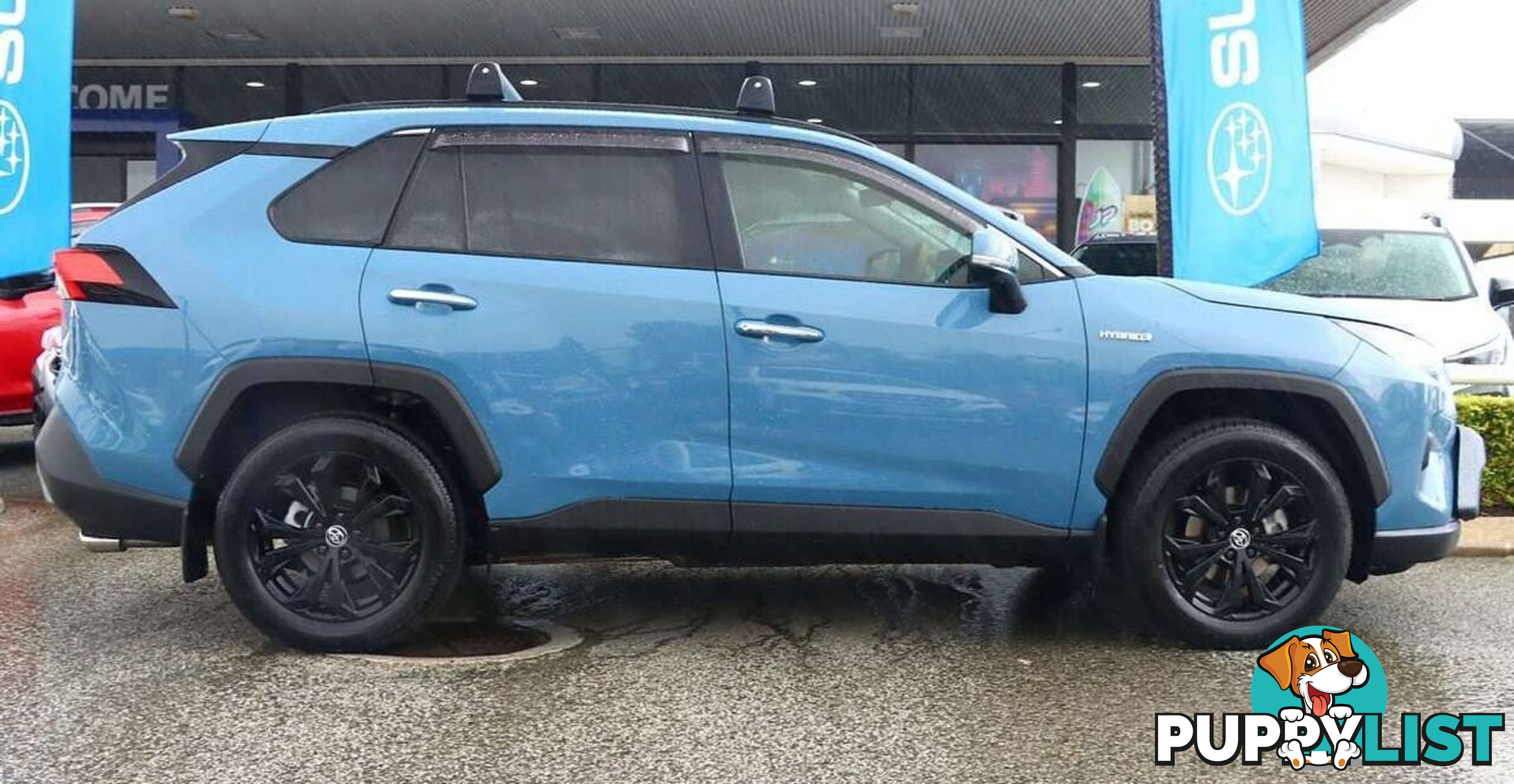 2023 TOYOTA RAV4 CRUISER AXAH54R WAGON