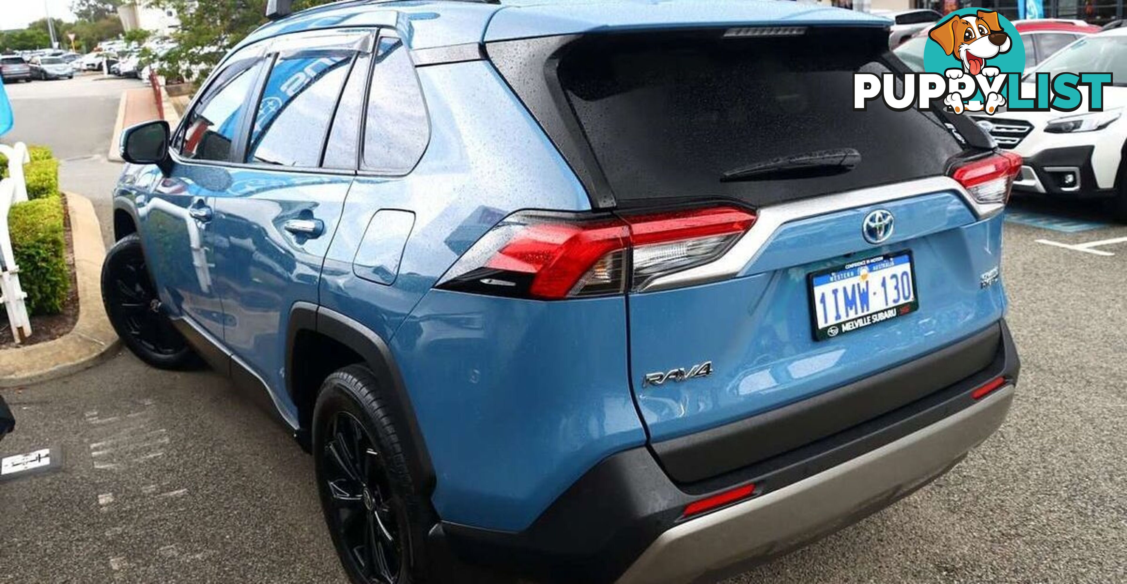 2023 TOYOTA RAV4 CRUISER AXAH54R WAGON