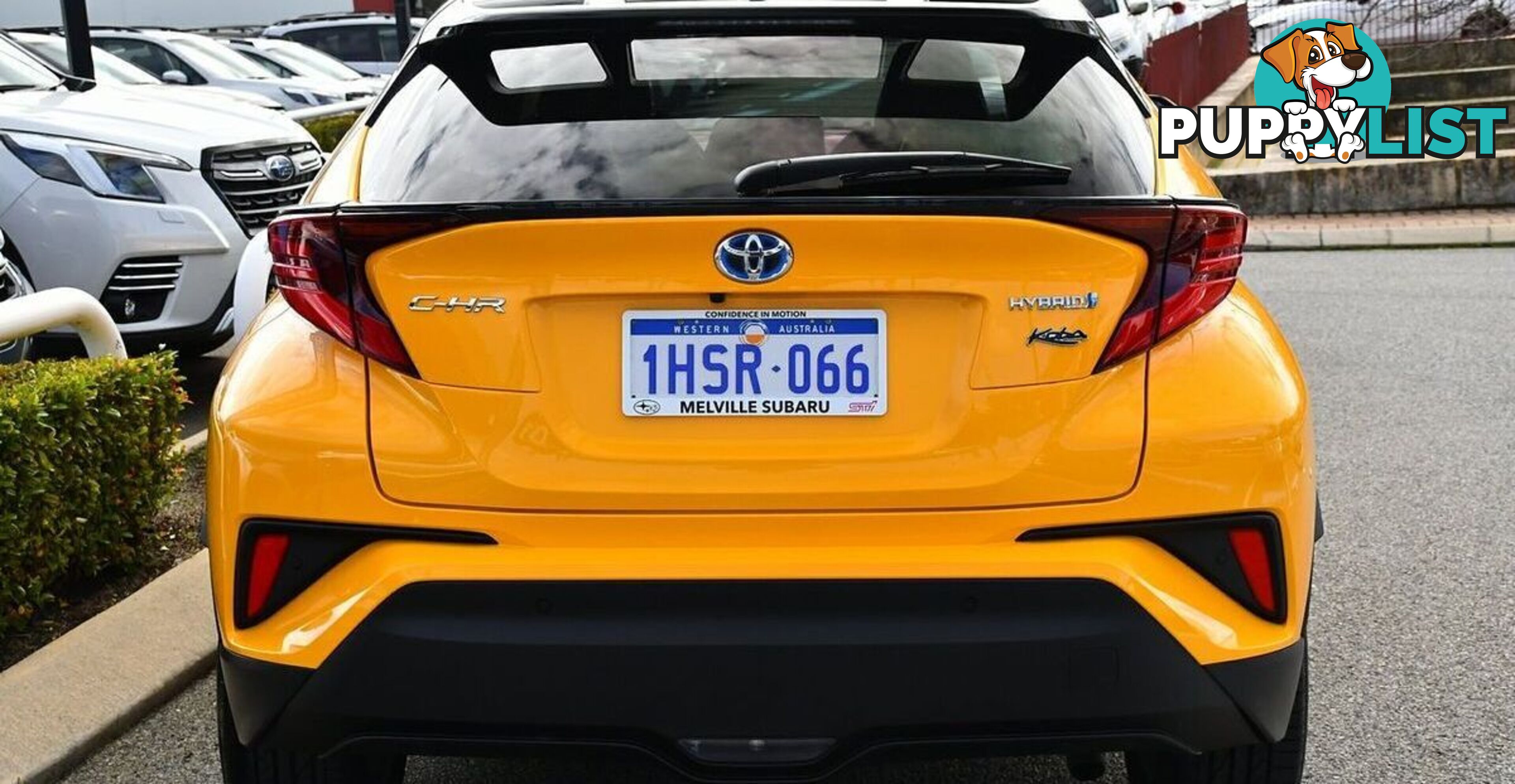 2022 TOYOTA C-HR KOBA ZYX10R WAGON