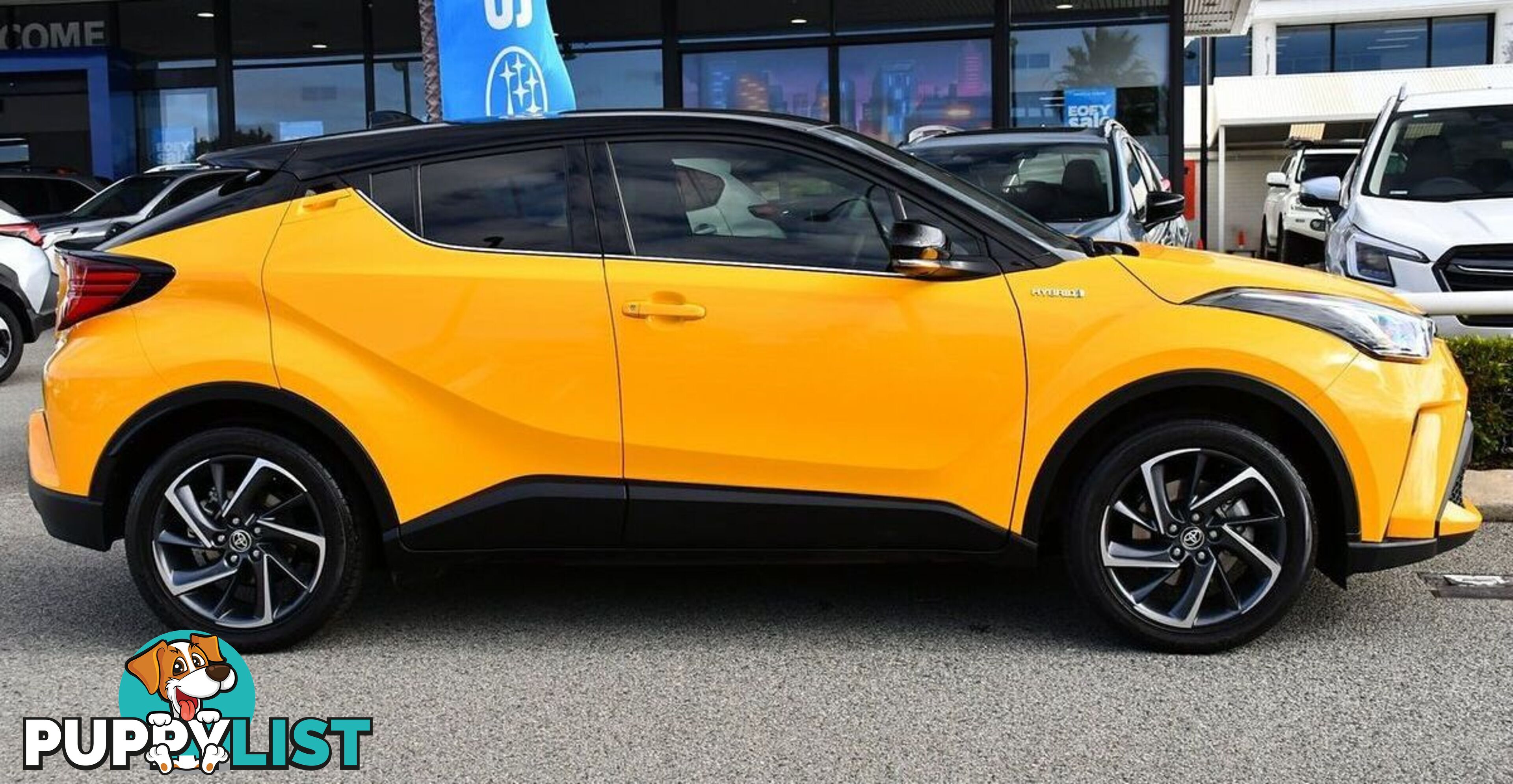 2022 TOYOTA C-HR KOBA ZYX10R WAGON