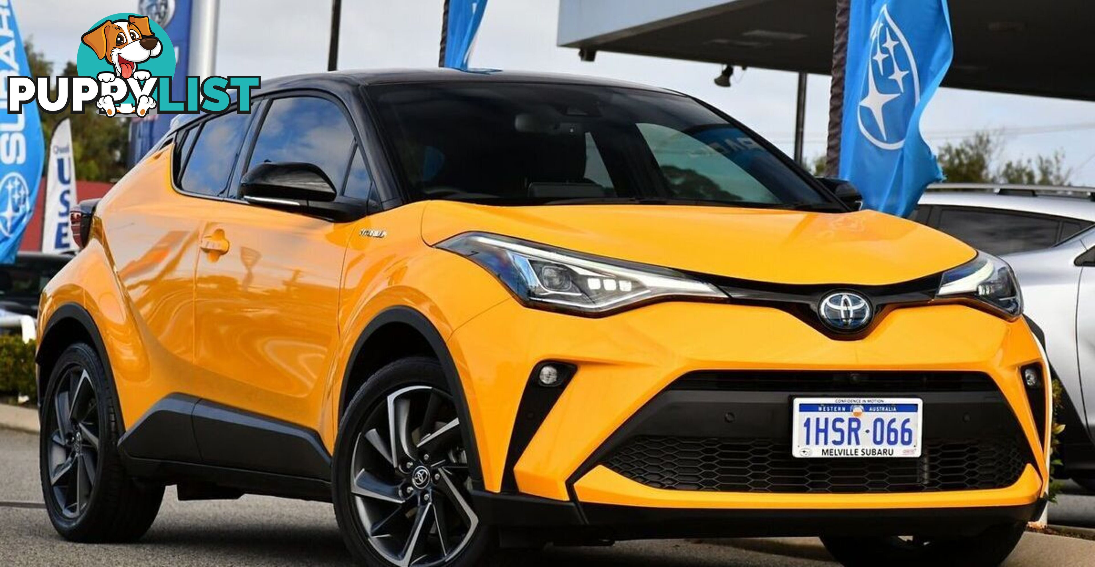 2022 TOYOTA C-HR KOBA ZYX10R WAGON