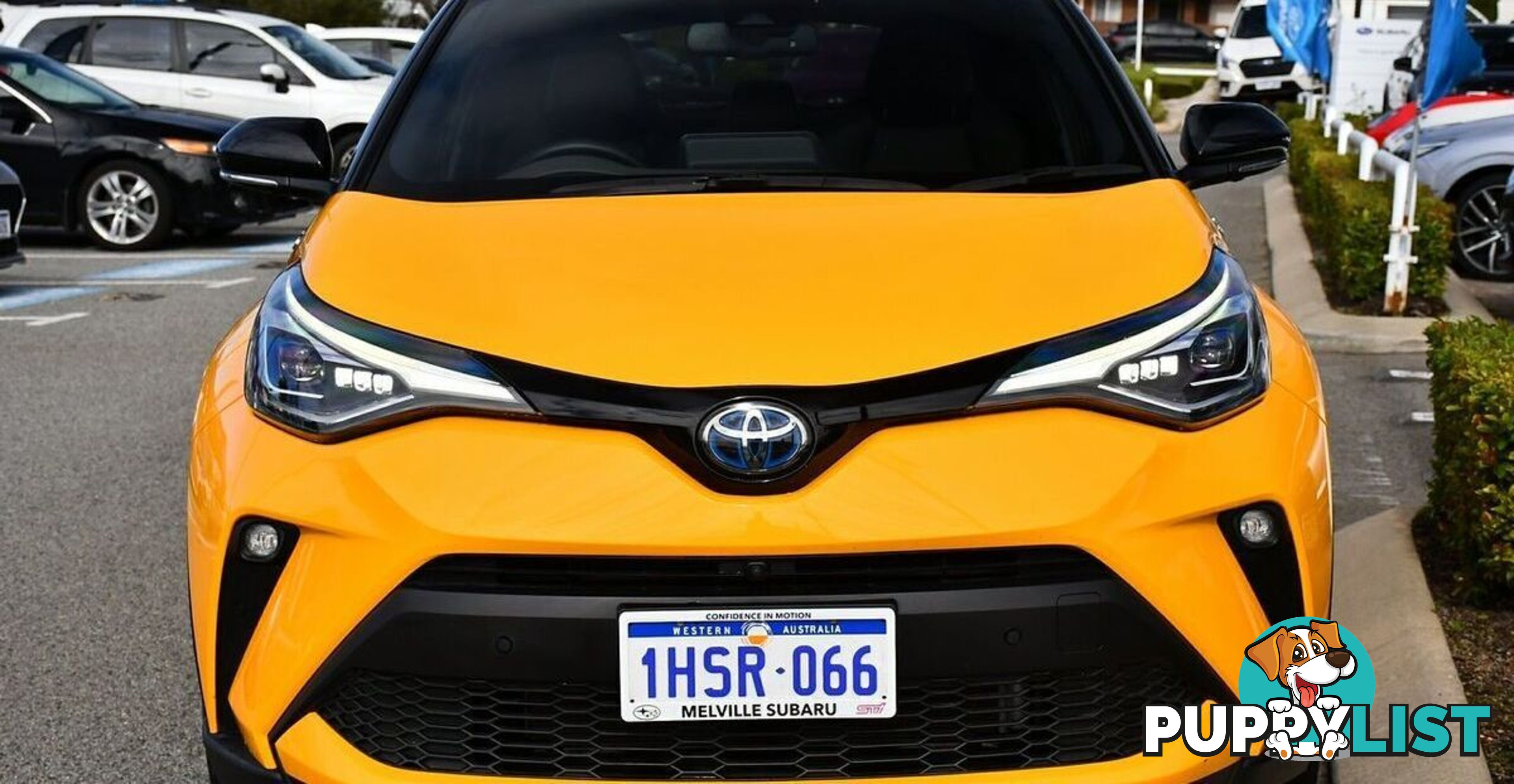 2022 TOYOTA C-HR KOBA ZYX10R WAGON