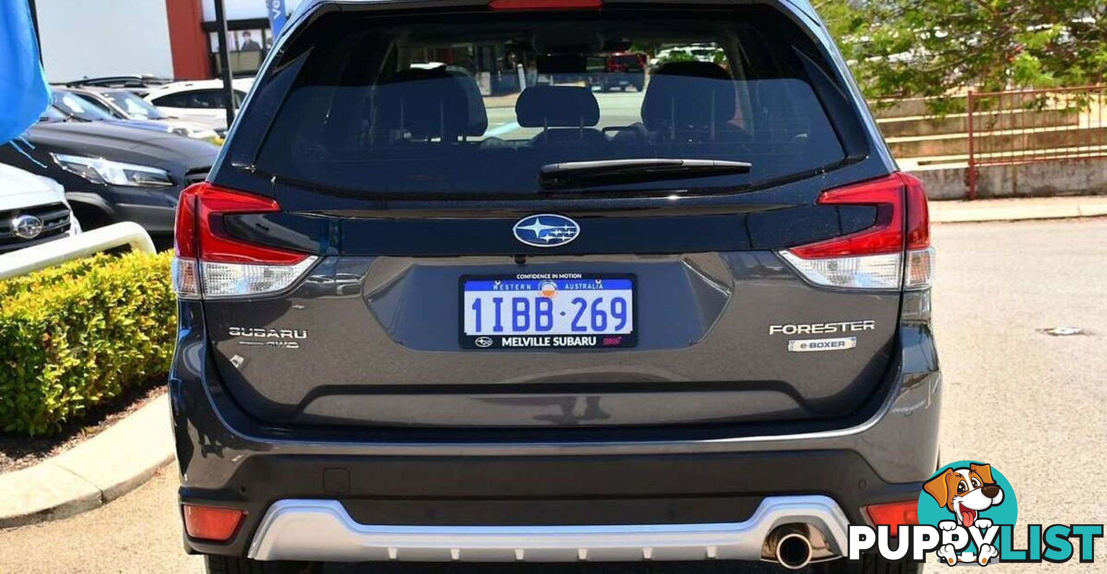 2023 SUBARU FORESTER HYBRID S S5 WAGON