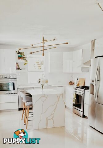 Why Pre-Planning is the Key to a Successful Kitchen Renovation