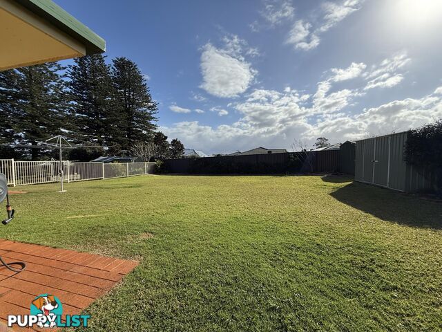 47 Adele Street ALSTONVILLE NSW 2477