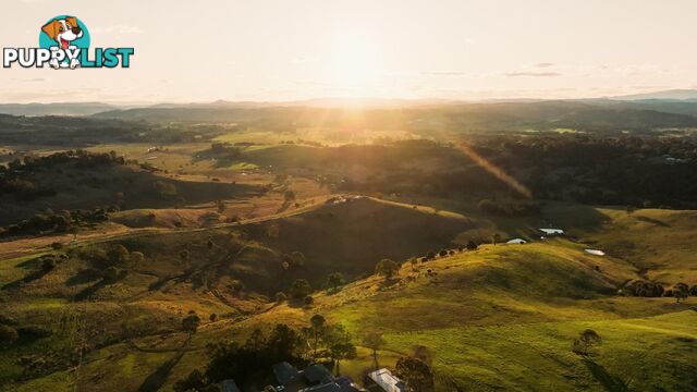 Northridge GOONELLABAH NSW 2480