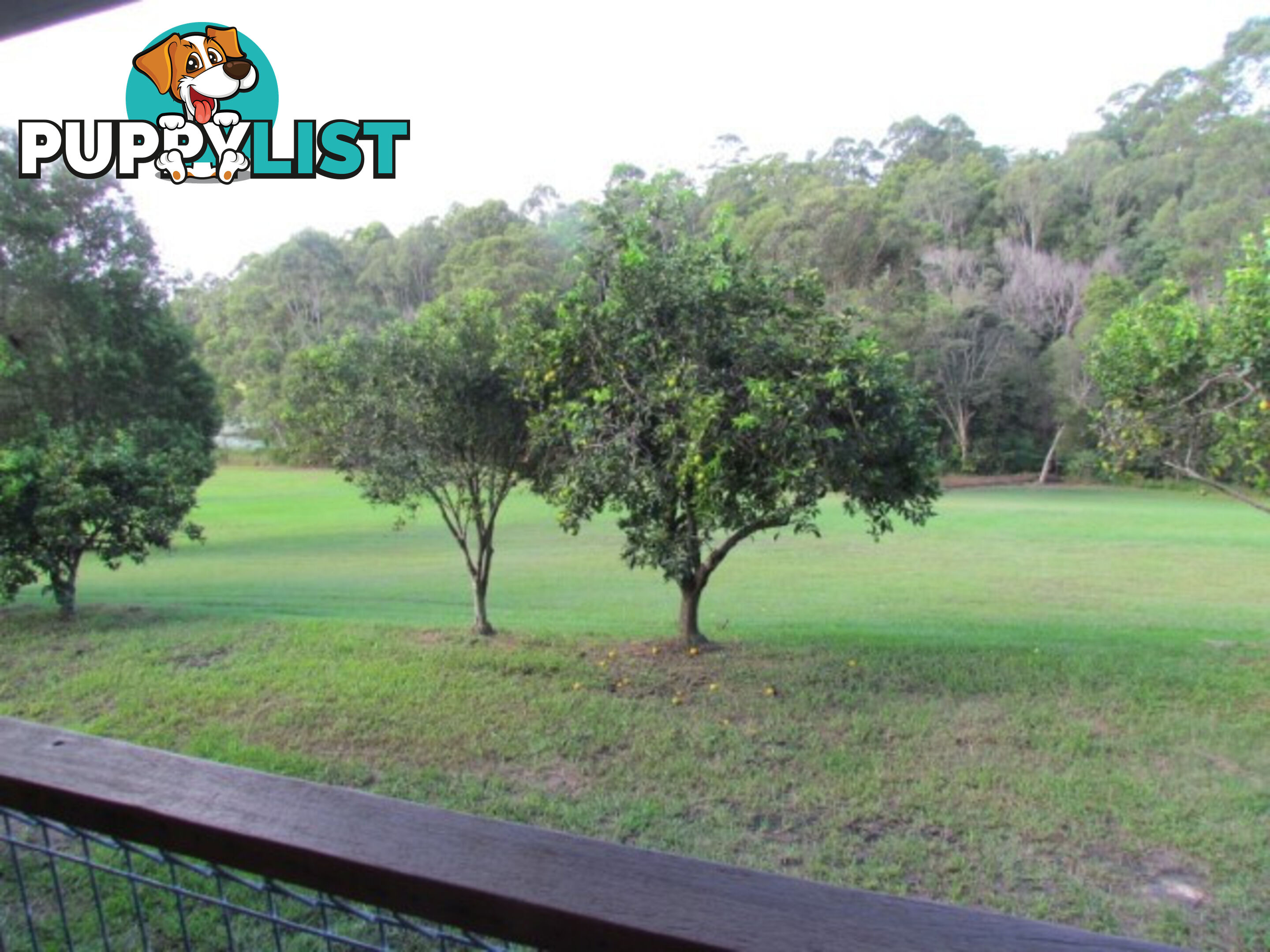 37a Platypus Drive URALBA NSW 2477