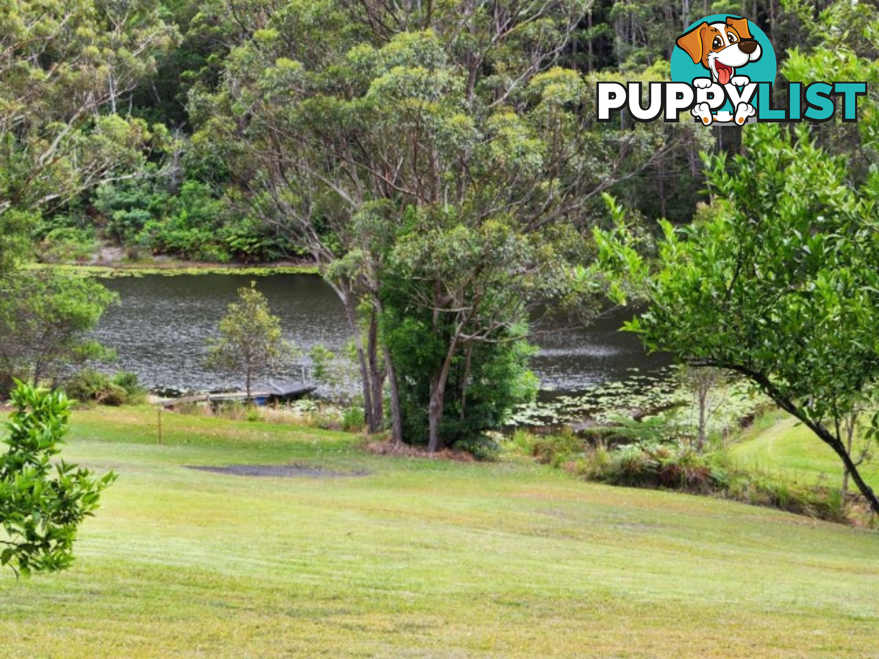 37a Platypus Drive URALBA NSW 2477