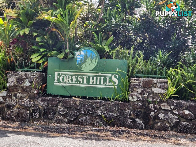 37a Platypus Drive URALBA NSW 2477