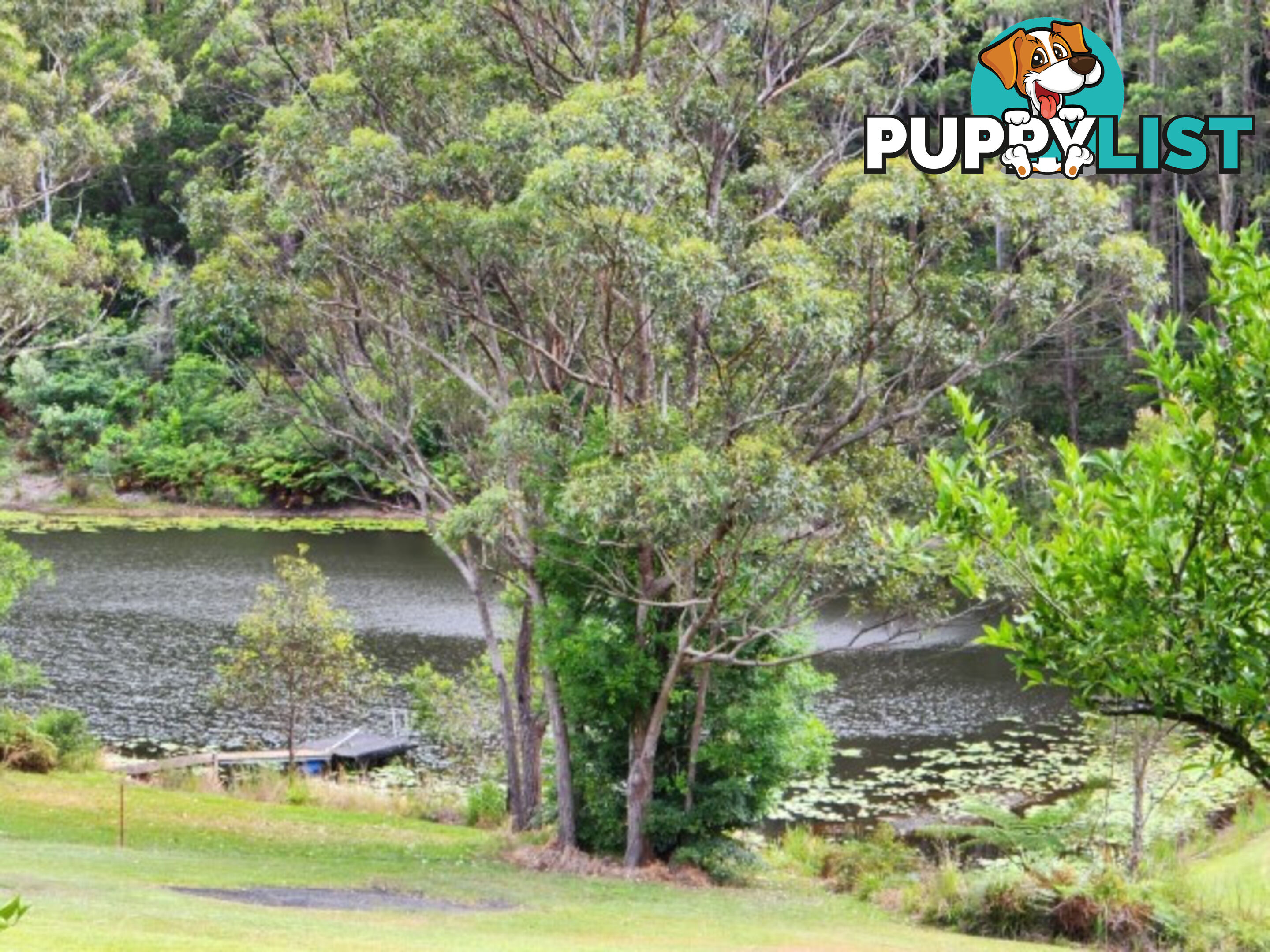 37a Platypus Drive URALBA NSW 2477