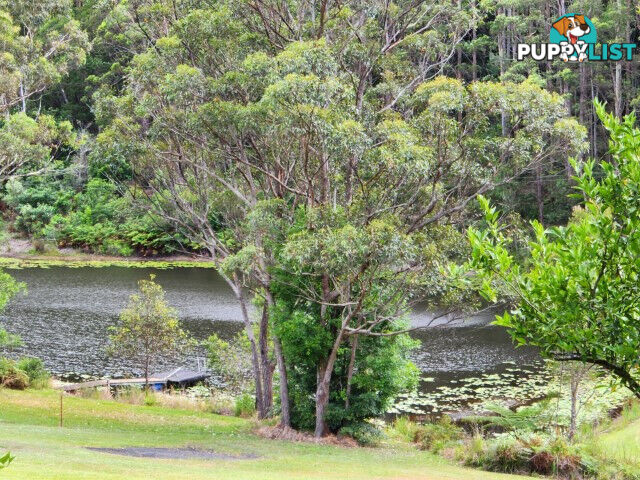 37a Platypus Drive URALBA NSW 2477