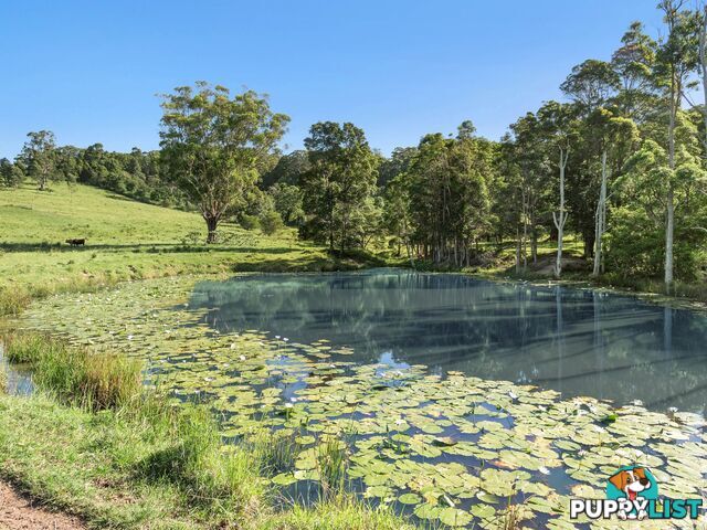 102 & 103 Thurgates Lane MEERSCHAUM VALE NSW 2477