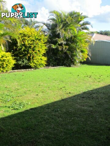 5 Tea Tree Place EAST BALLINA NSW 2478