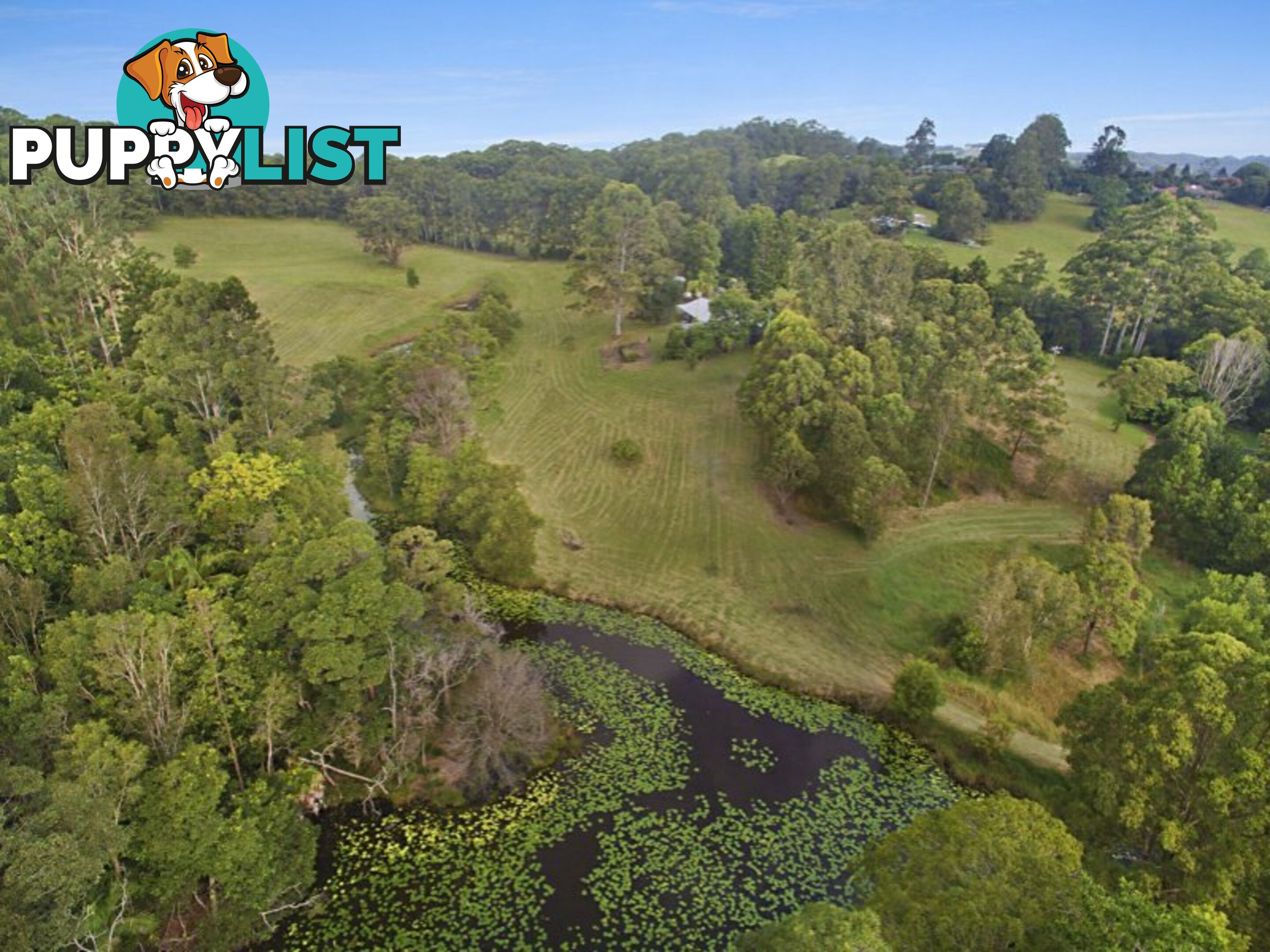 66 Forest Road URALBA NSW 2477