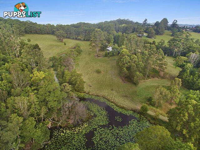 66 Forest Road URALBA NSW 2477