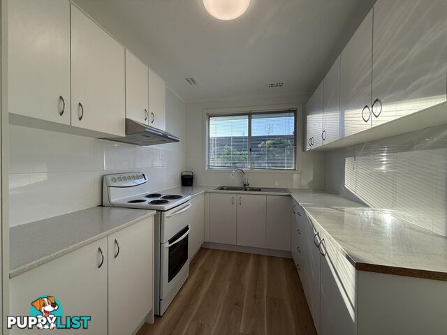 12 Bath Street WARDELL NSW 2477
