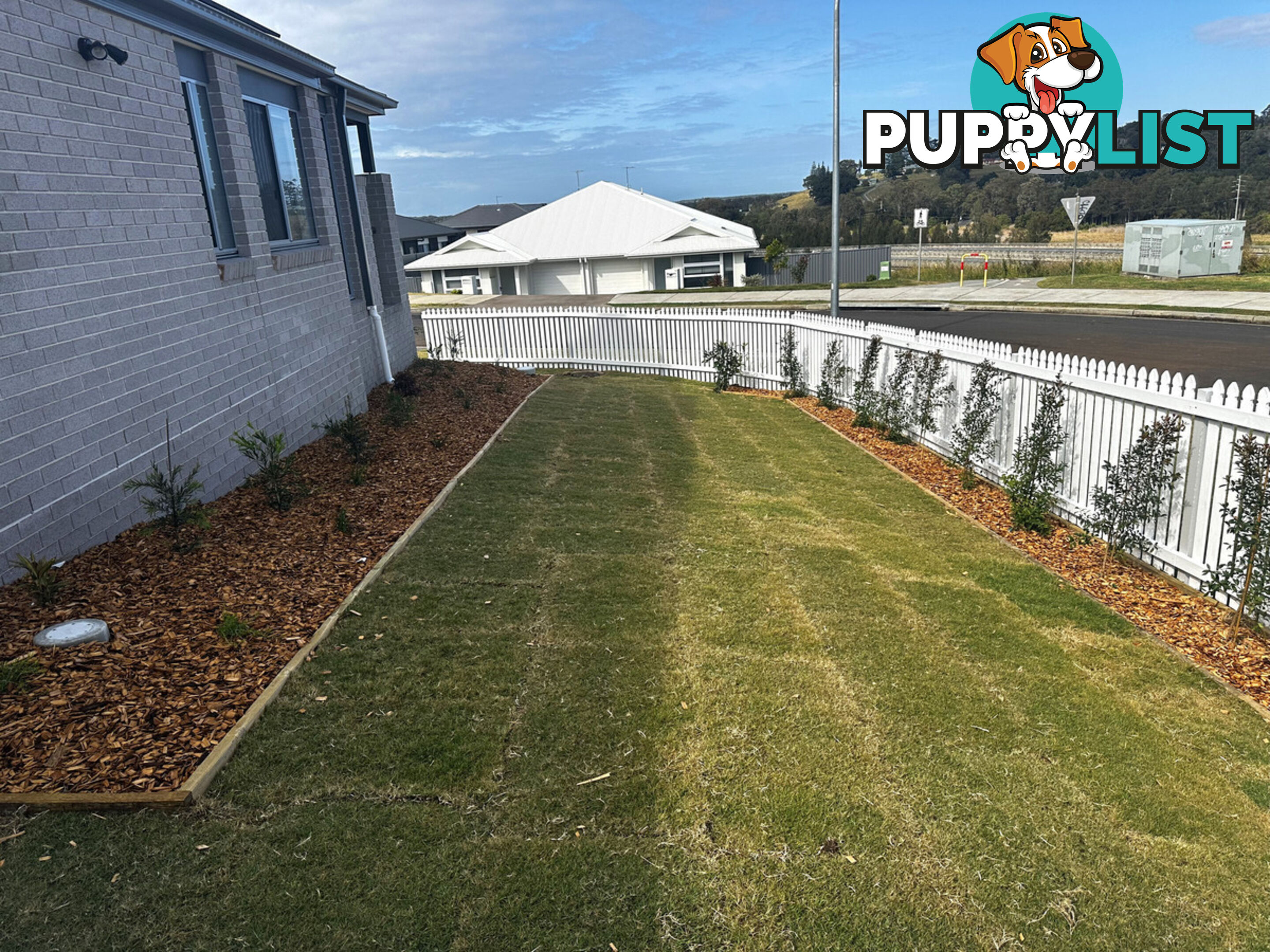 10 Hartigan Street CUMBALUM NSW 2478