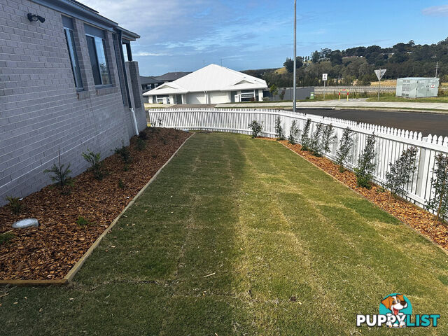 10 Hartigan Street CUMBALUM NSW 2478