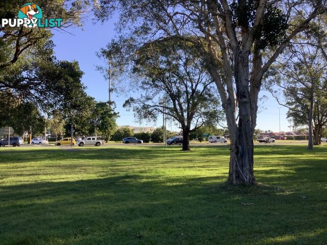 2/3 Clark Street BALLINA NSW 2478