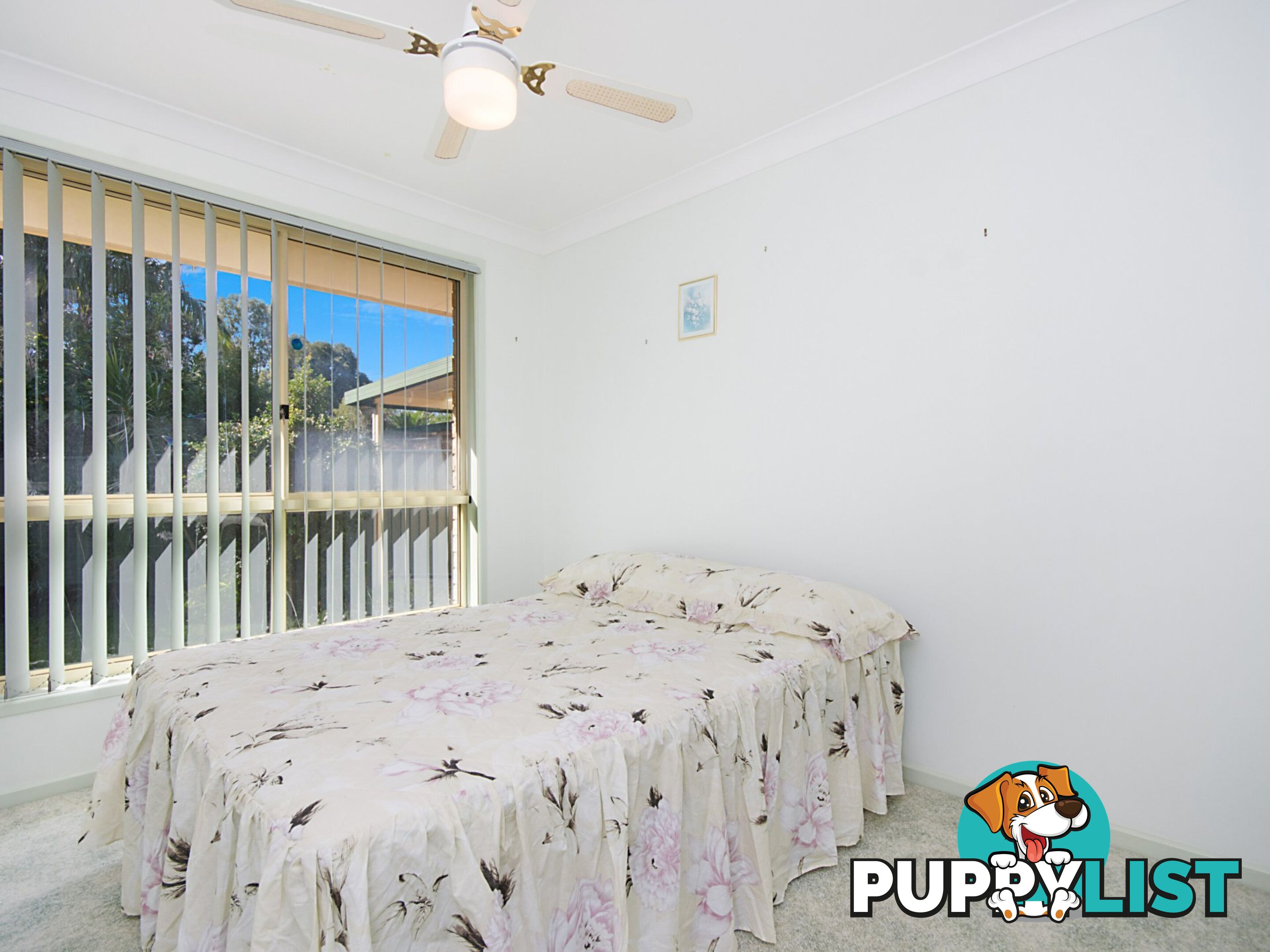 1/8 Seahorse Place BALLINA NSW 2478