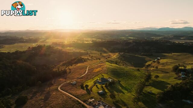 Lot 30, 97 Pineapple Road GOONELLABAH NSW 2480