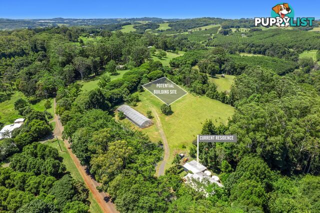 407 Humpty Back Road PEARCES CREEK NSW 2477