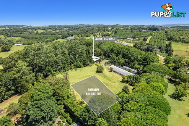 407 Humpty Back Road PEARCES CREEK NSW 2477