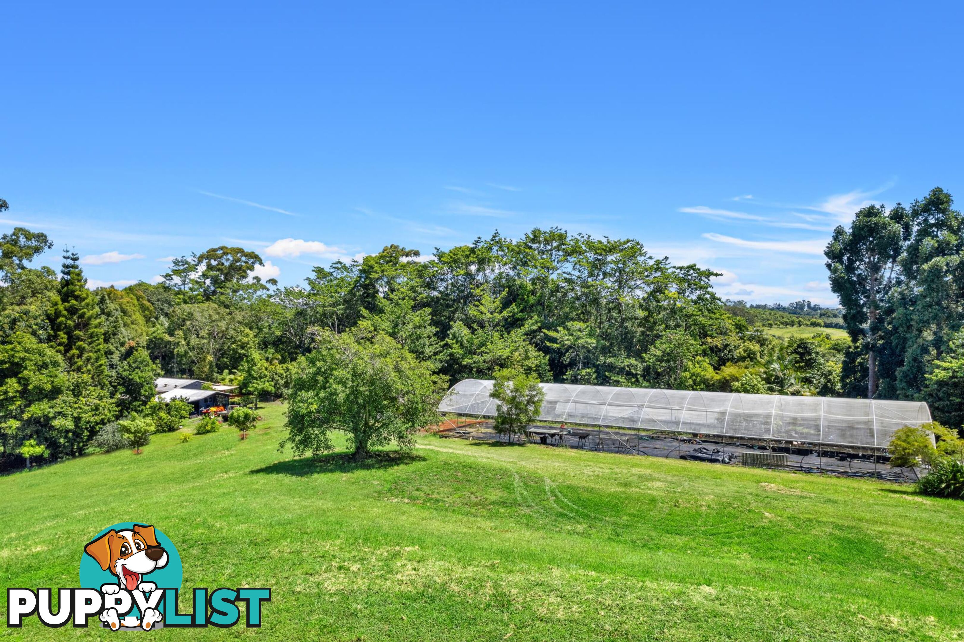 407 Humpty Back Road PEARCES CREEK NSW 2477