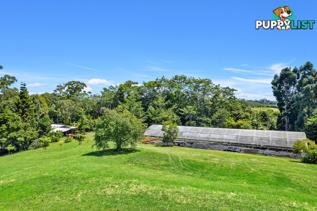 407 Humpty Back Road PEARCES CREEK NSW 2477