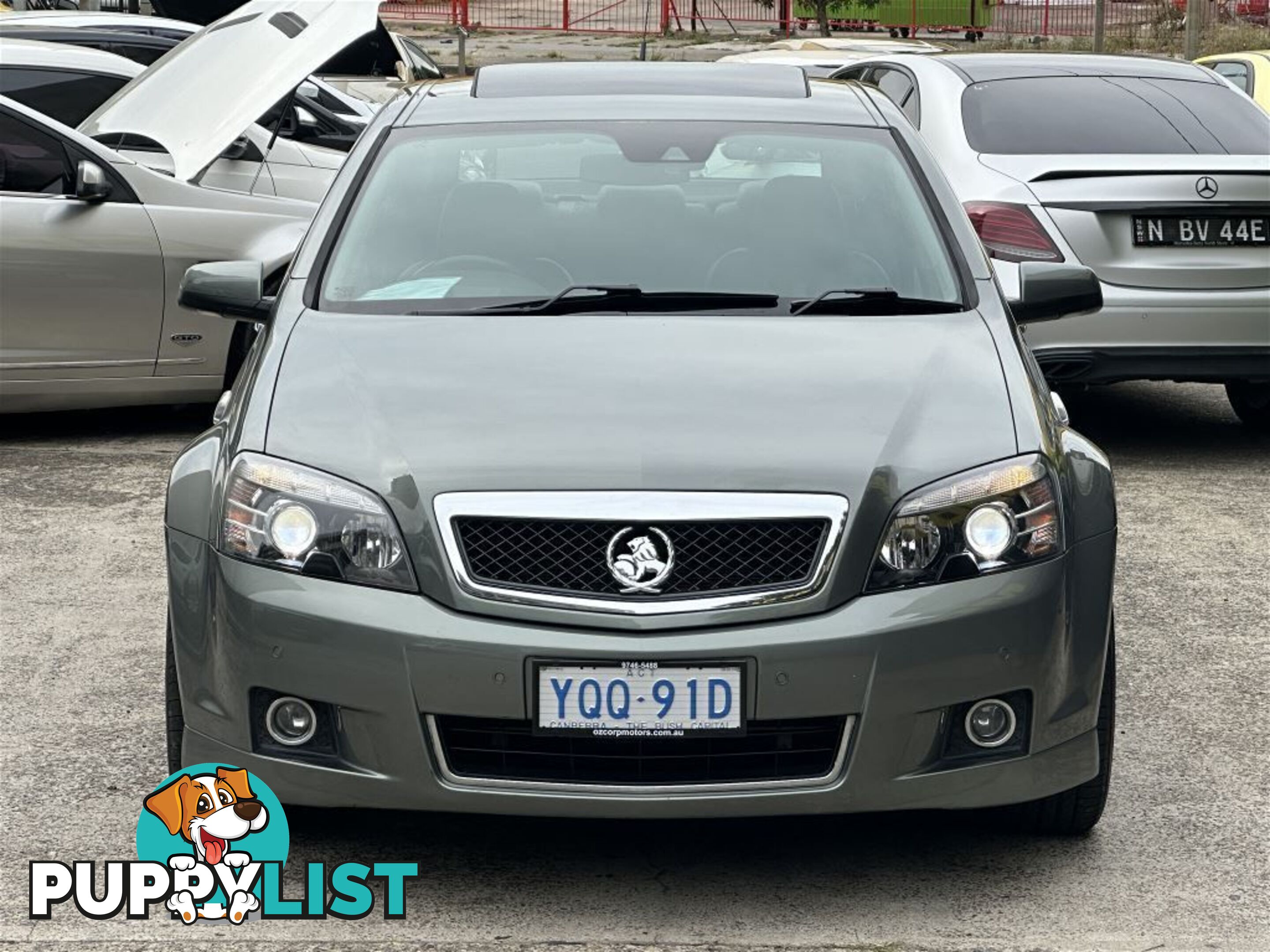 2016 HOLDEN CAPRICE V WN MY16 SEDAN