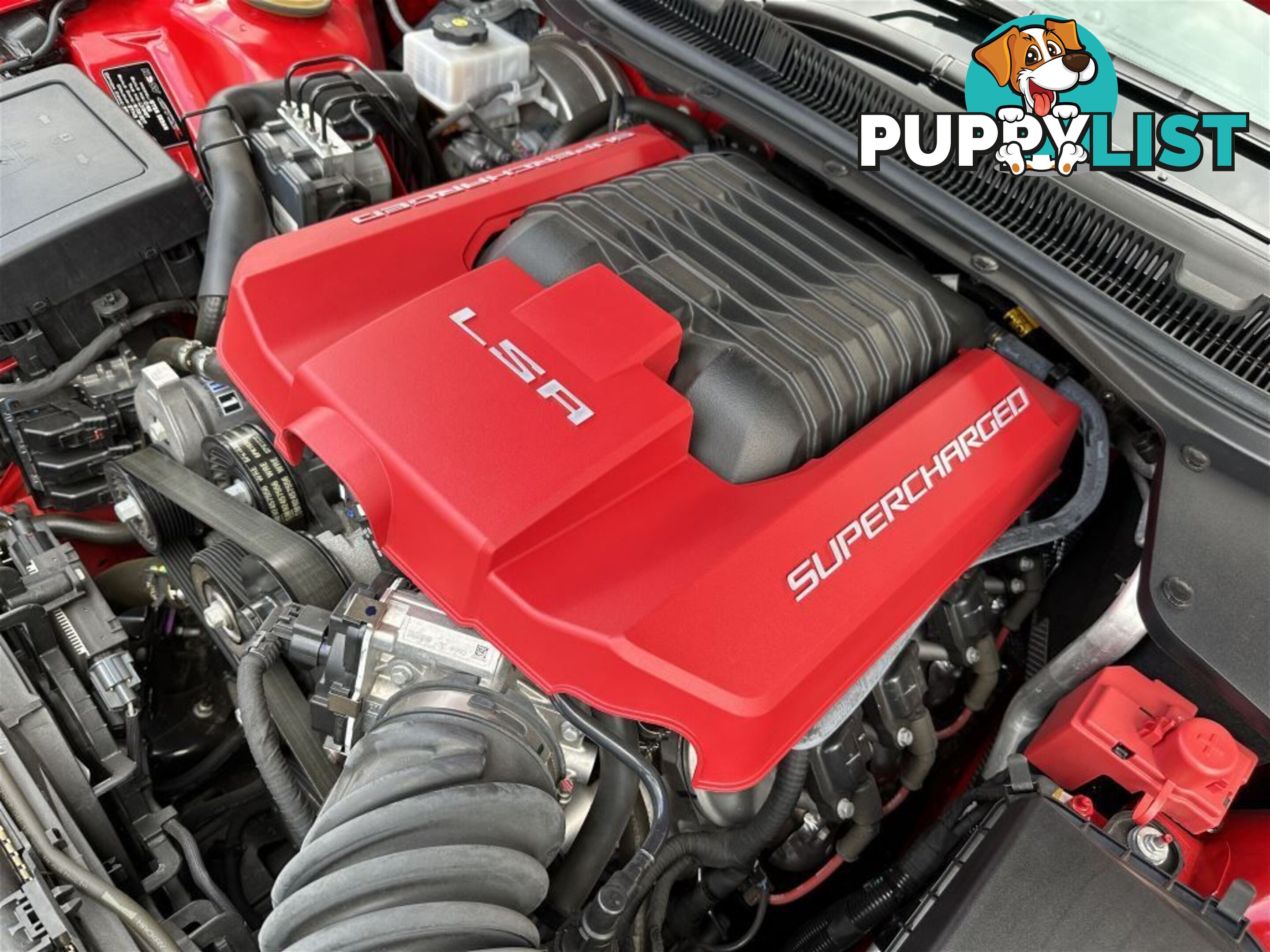 2017 HOLDEN SPECIAL VEHICLES GTSR  GEN F2 SEDAN