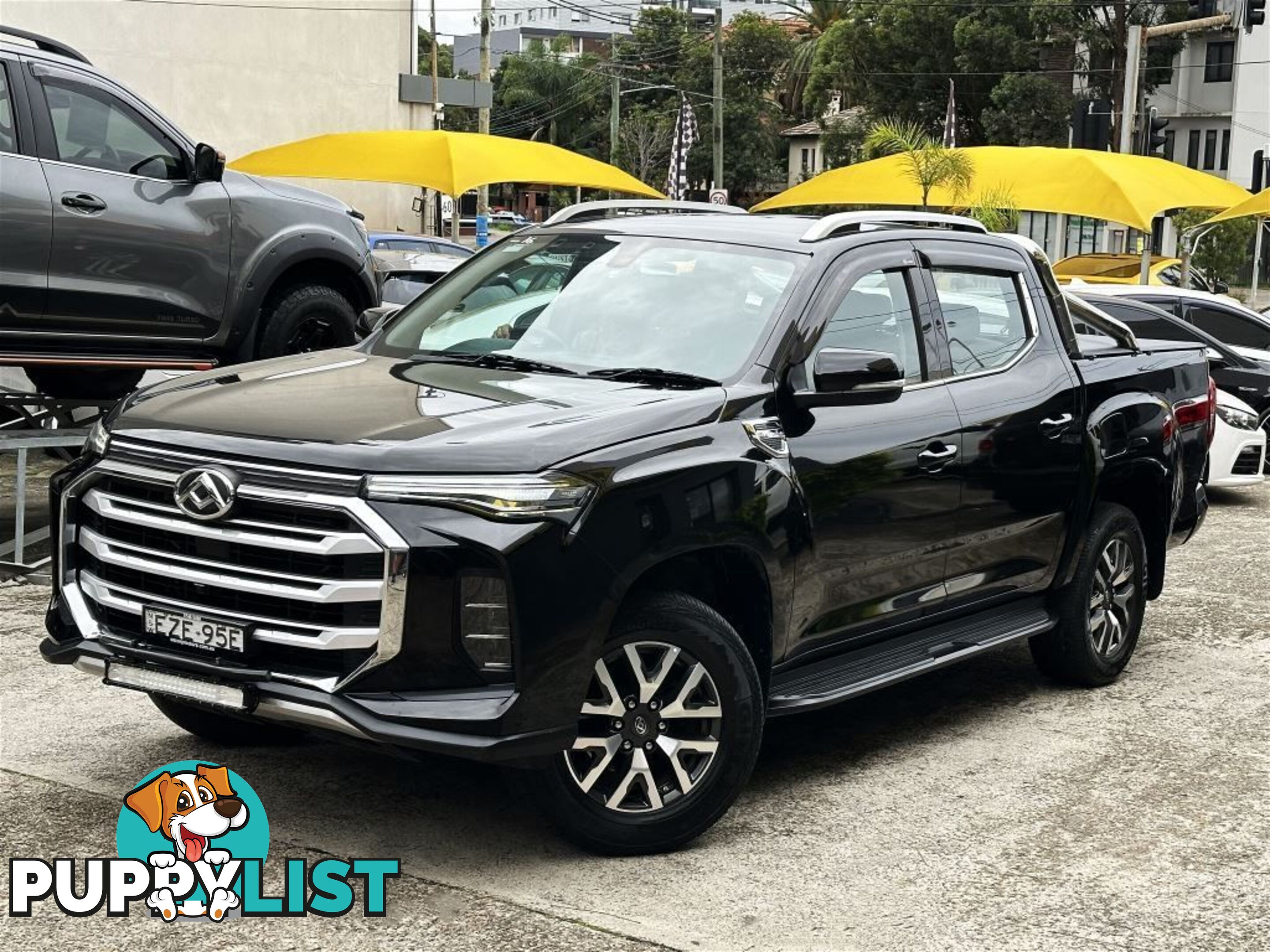 2022 LDV T60 MAX PRO 4X4 SK8C MY23 OTHER