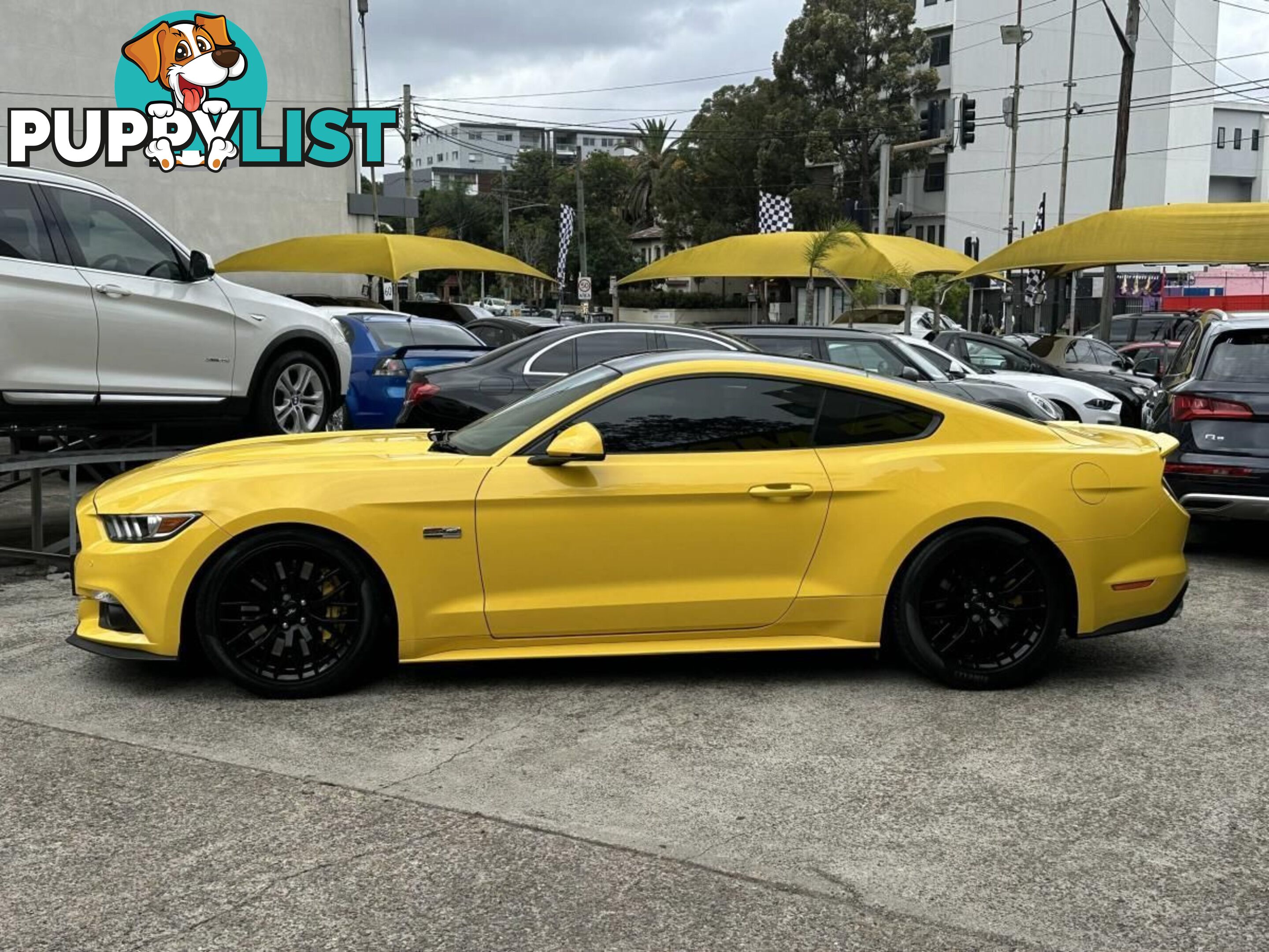 2017 FORD MUSTANG FASTBACK GT 5.0 V8 FM MY17 COUPE