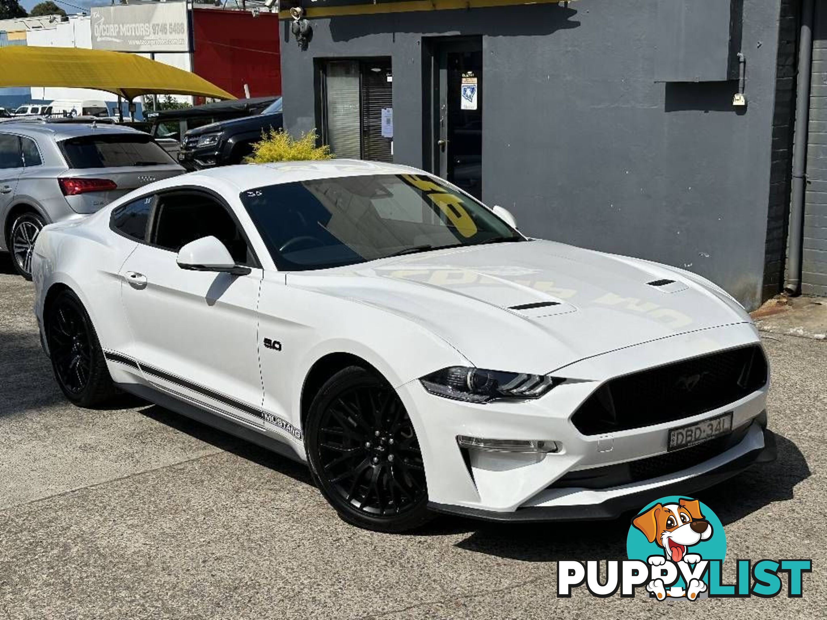 2019 FORD MUSTANG FASTBACK GT 5.0 V8 FN COUPE