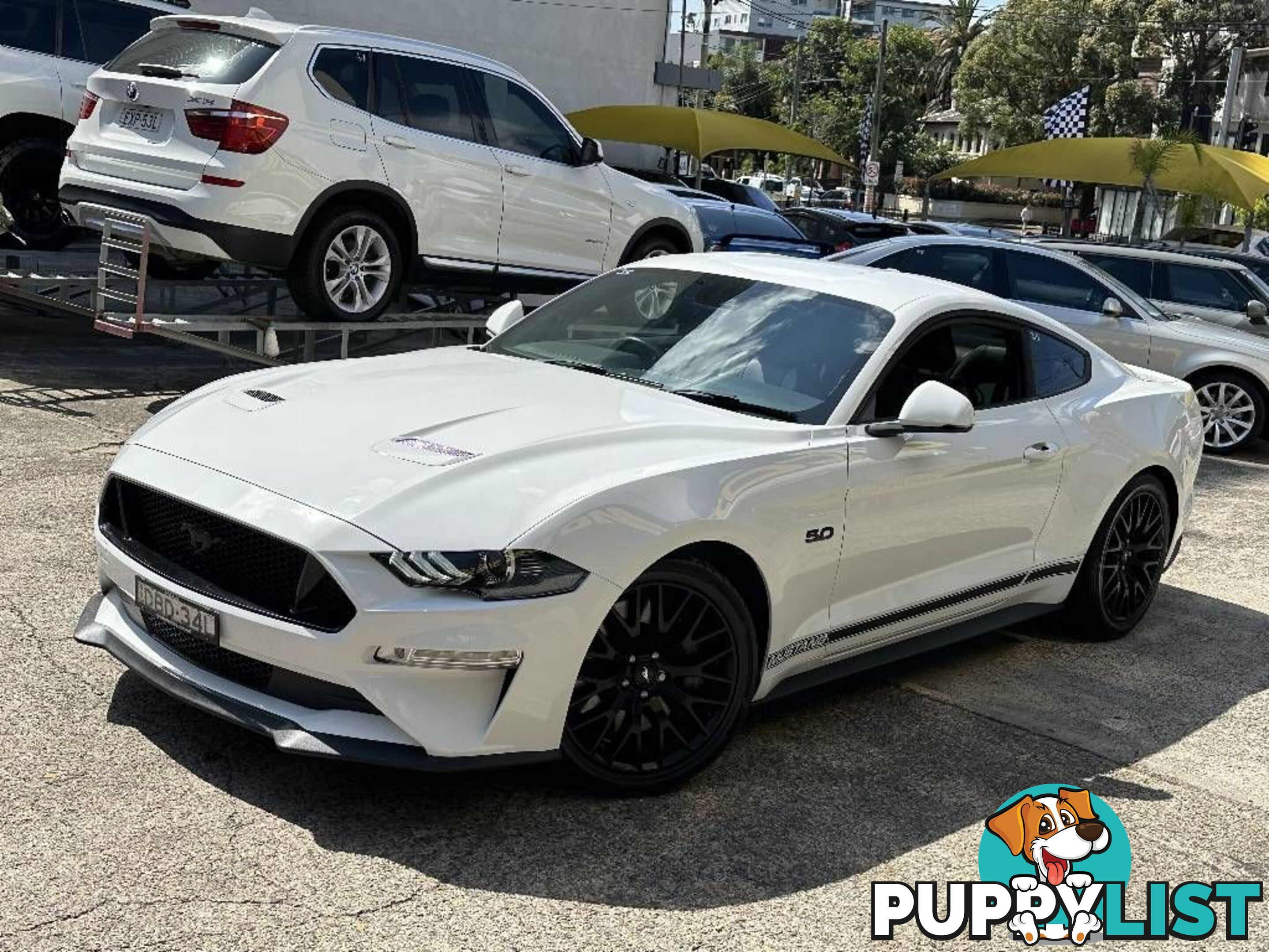 2019 FORD MUSTANG FASTBACK GT 5.0 V8 FN COUPE