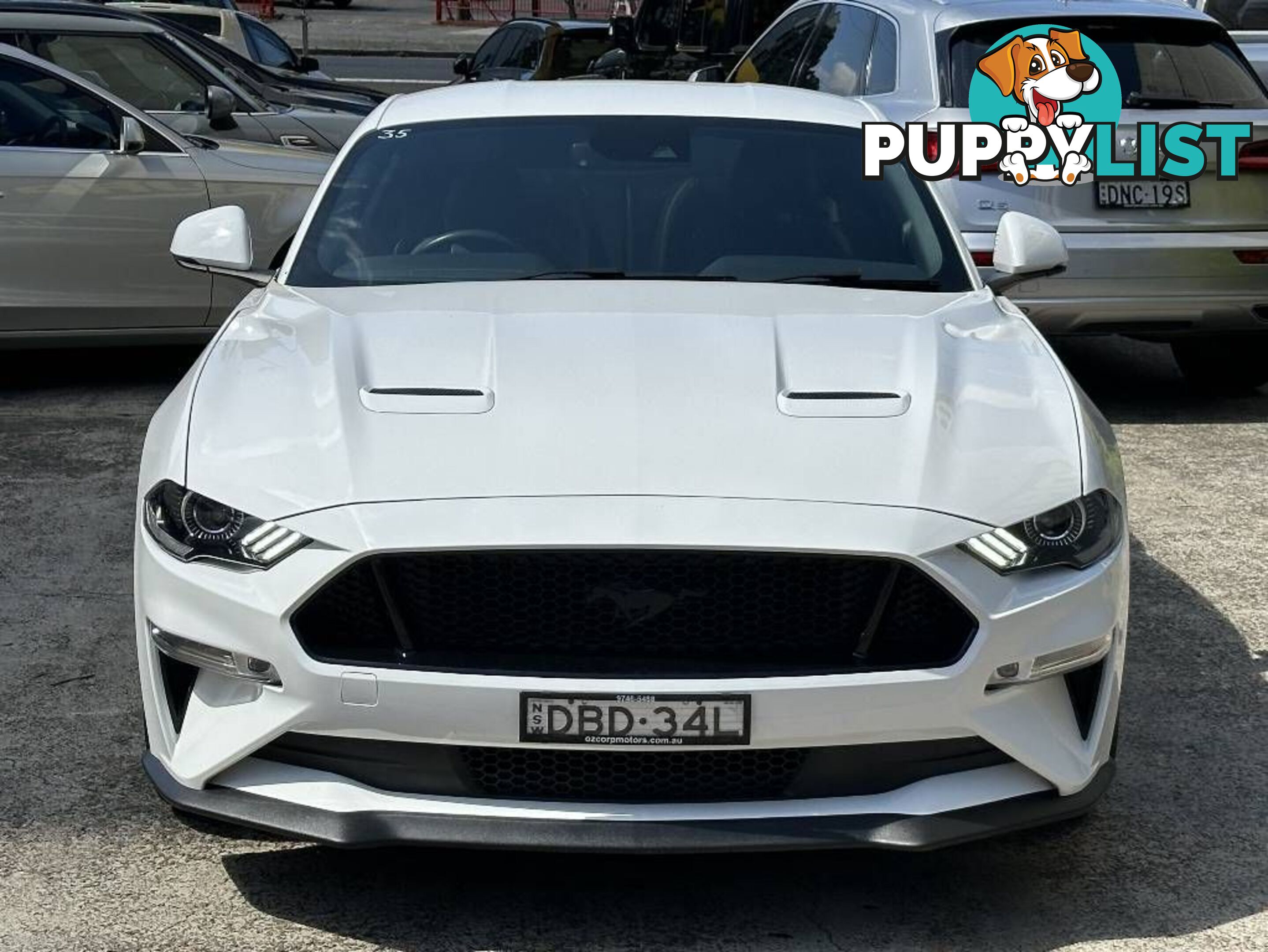 2019 FORD MUSTANG FASTBACK GT 5.0 V8 FN COUPE