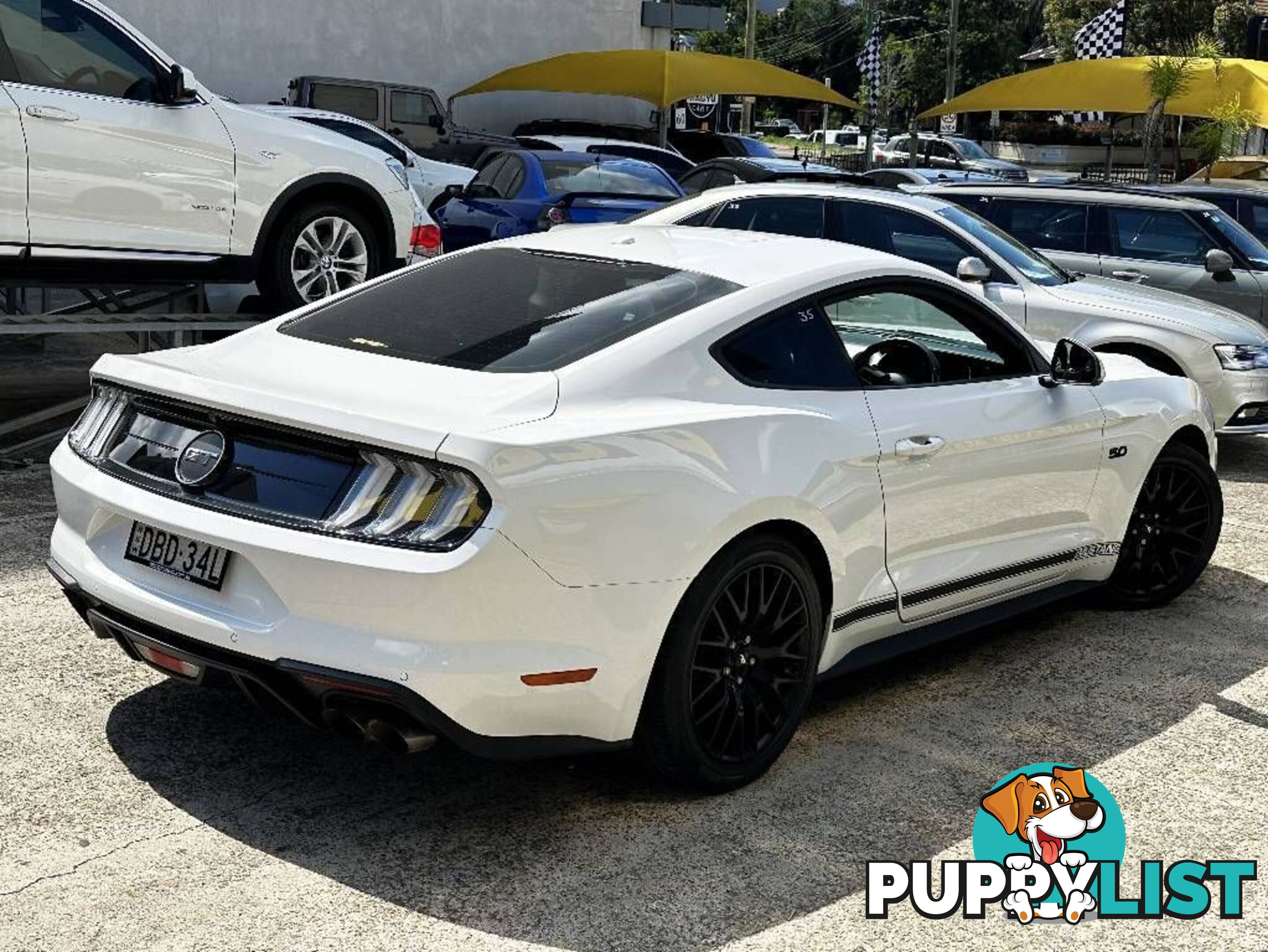 2019 FORD MUSTANG FASTBACK GT 5.0 V8 FN COUPE