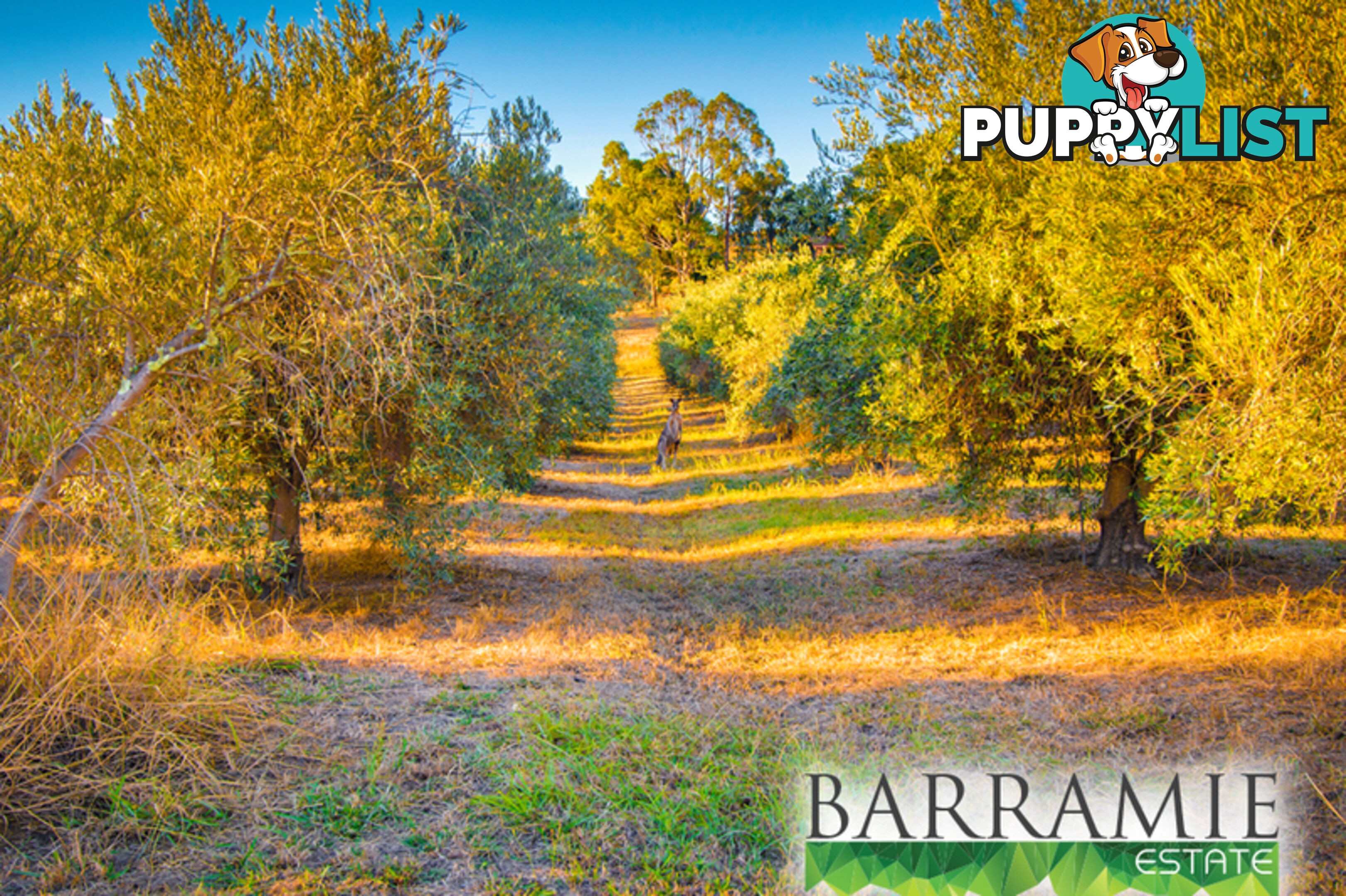 Barramie Park Estate 1 Goldsworthy Street Springdale Heights NSW 2641