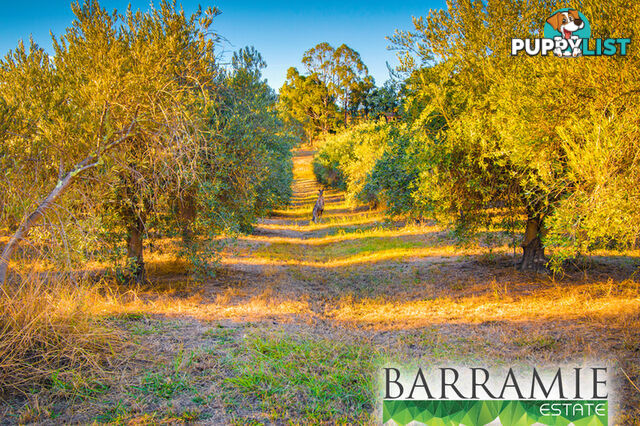 Barramie Park Estate 1 Goldsworthy Street Springdale Heights NSW 2641