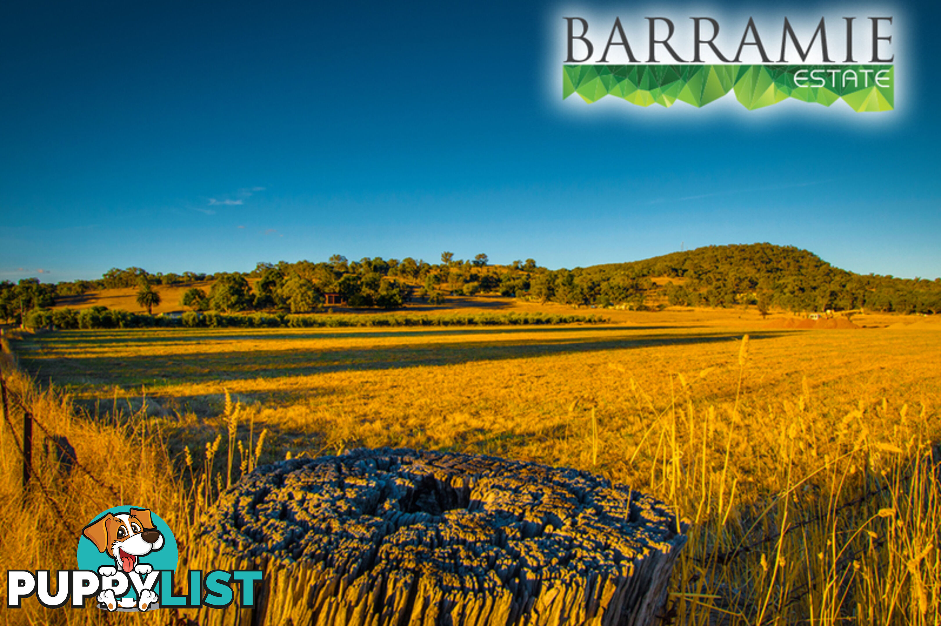 Barramie Park Estate 32 Goldsworthy Street Springdale Heights NSW 2641