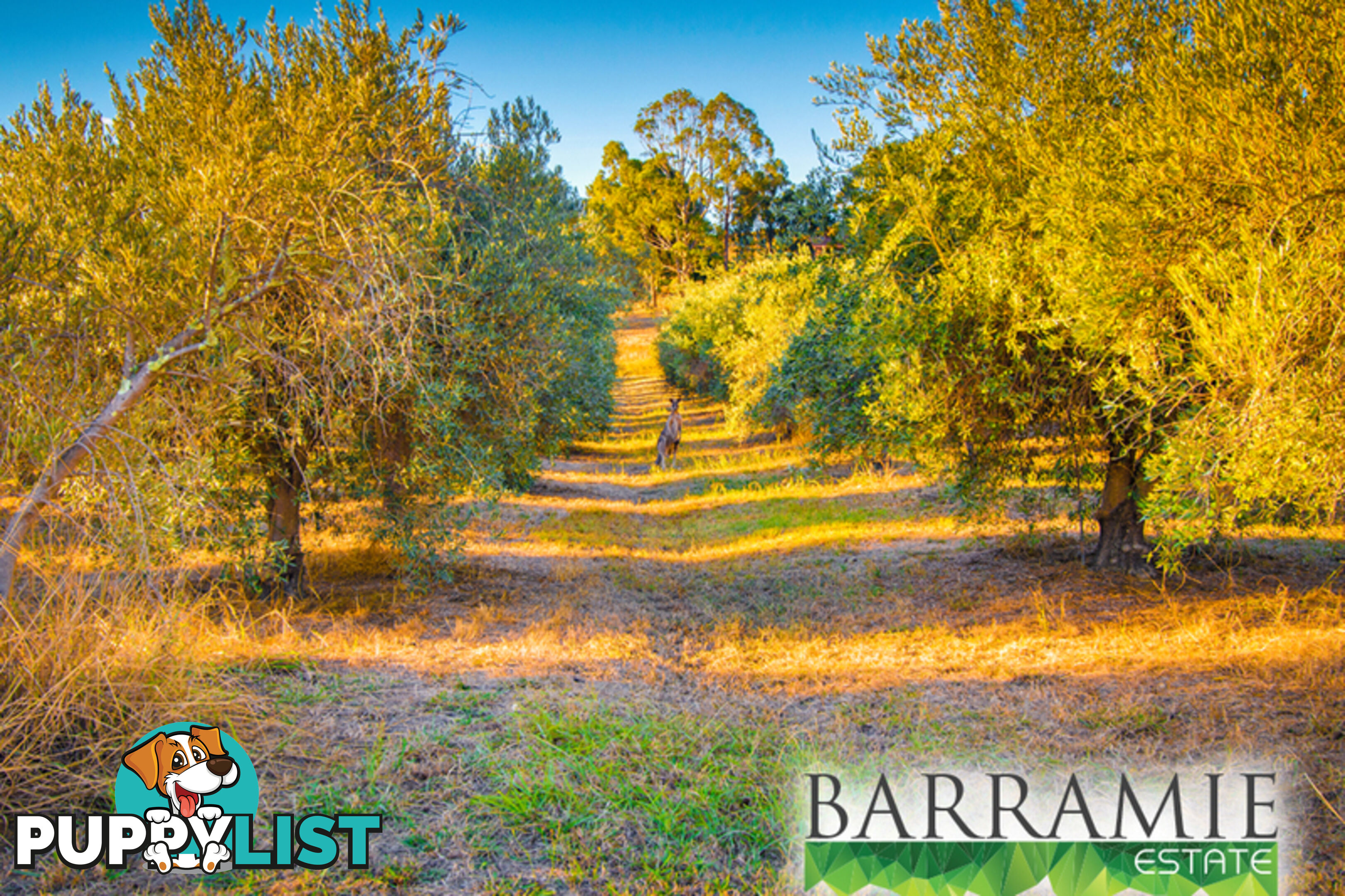 Barramie Park Estate 34 Goldsworthy Street Springdale Heights NSW 2641