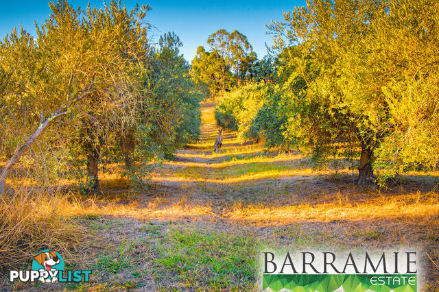 Barramie Park Estate 34 Goldsworthy Street Springdale Heights NSW 2641