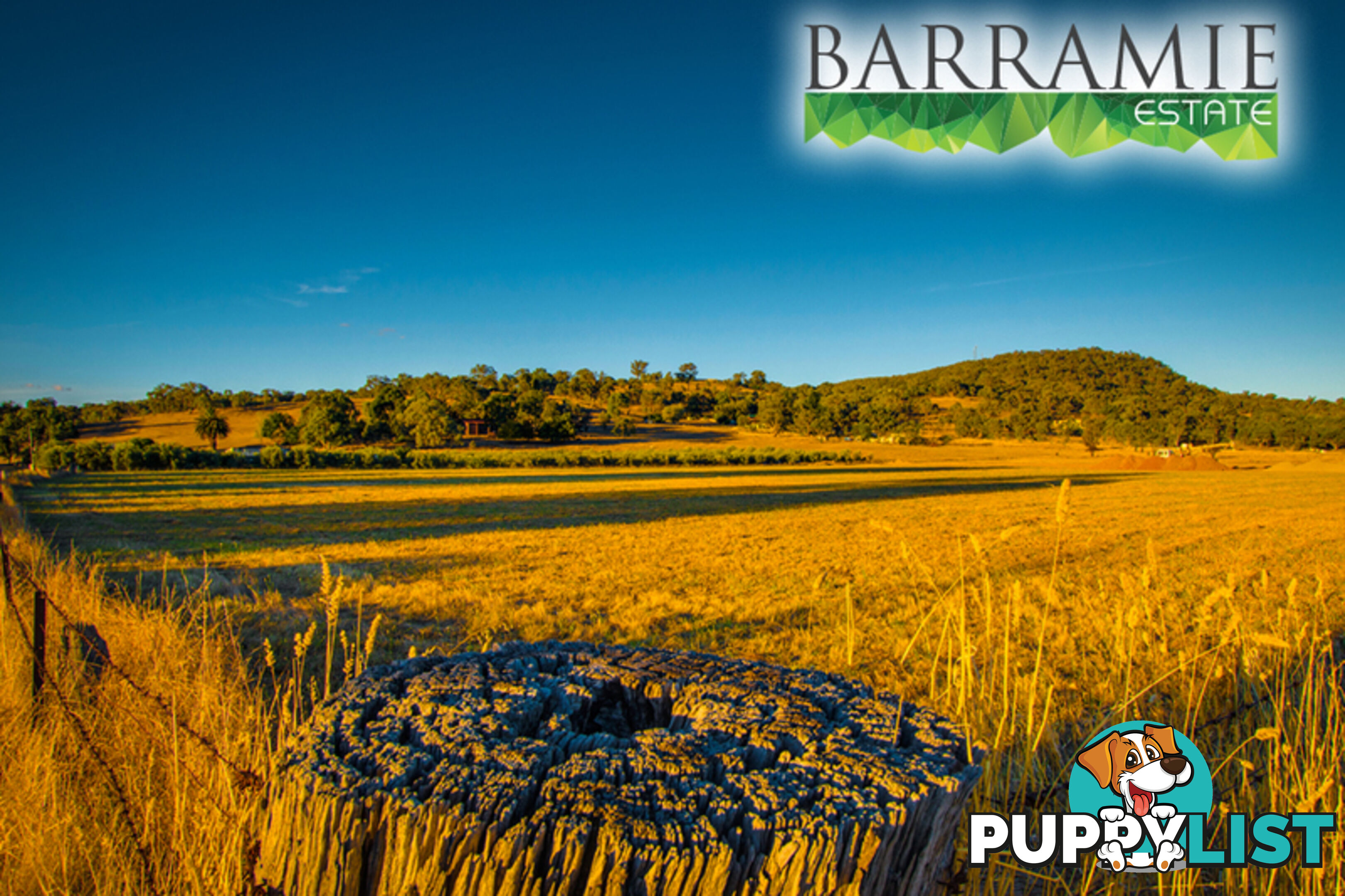 Barramie Park Estate 30 Goldsworthy Street Springdale Heights NSW 2641